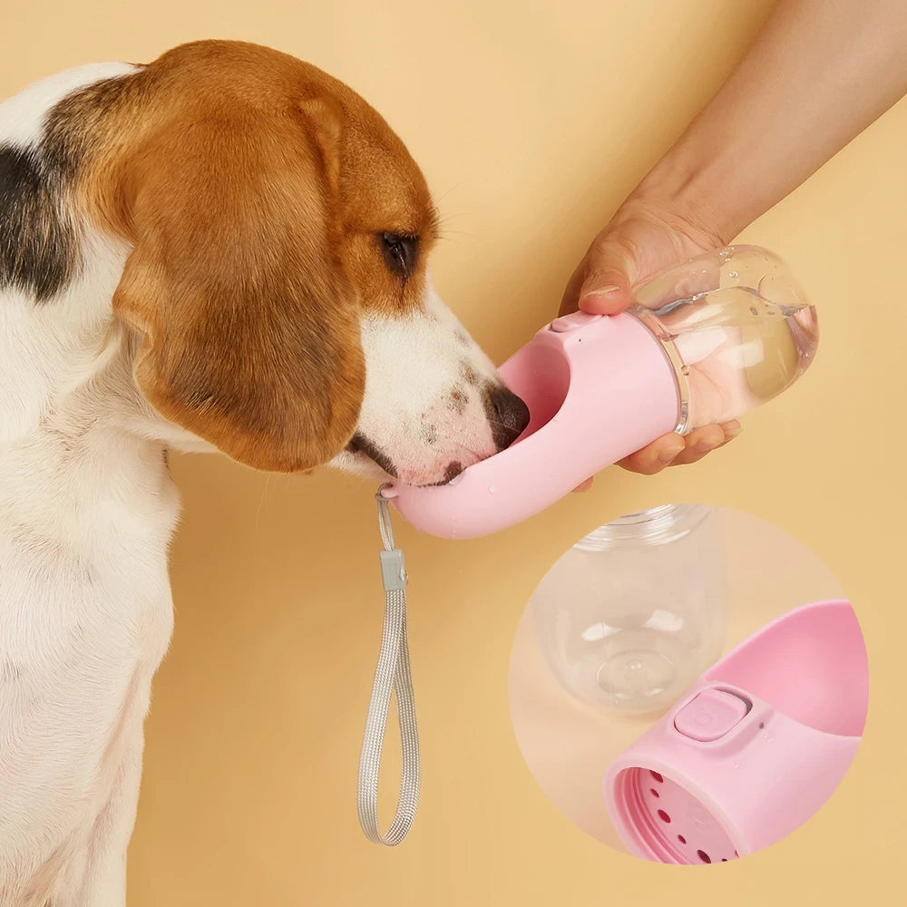 Portable Pet Water Dispenser